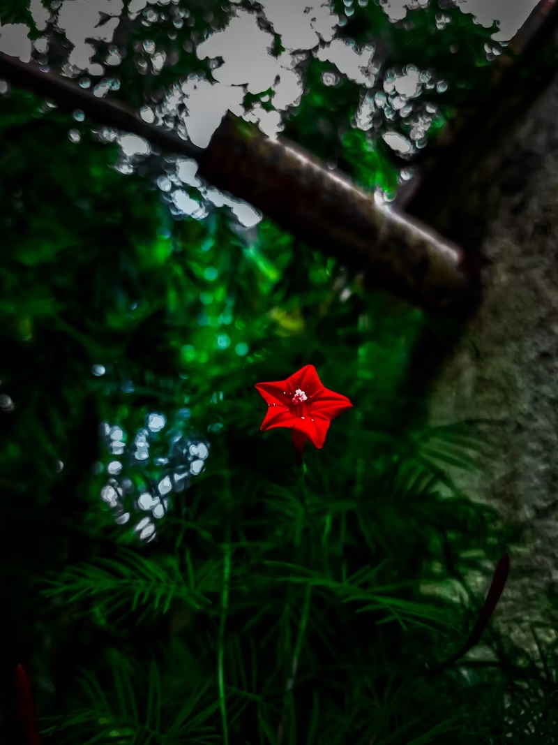 Find Your North Star